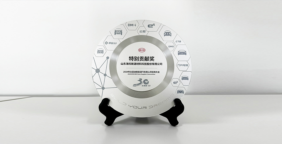 易游网页版连续四年再度荣获比亚迪2024年“特别贡献奖”